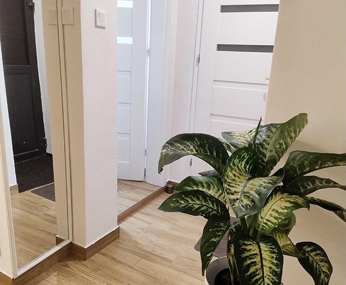 galeria-medical-spa5